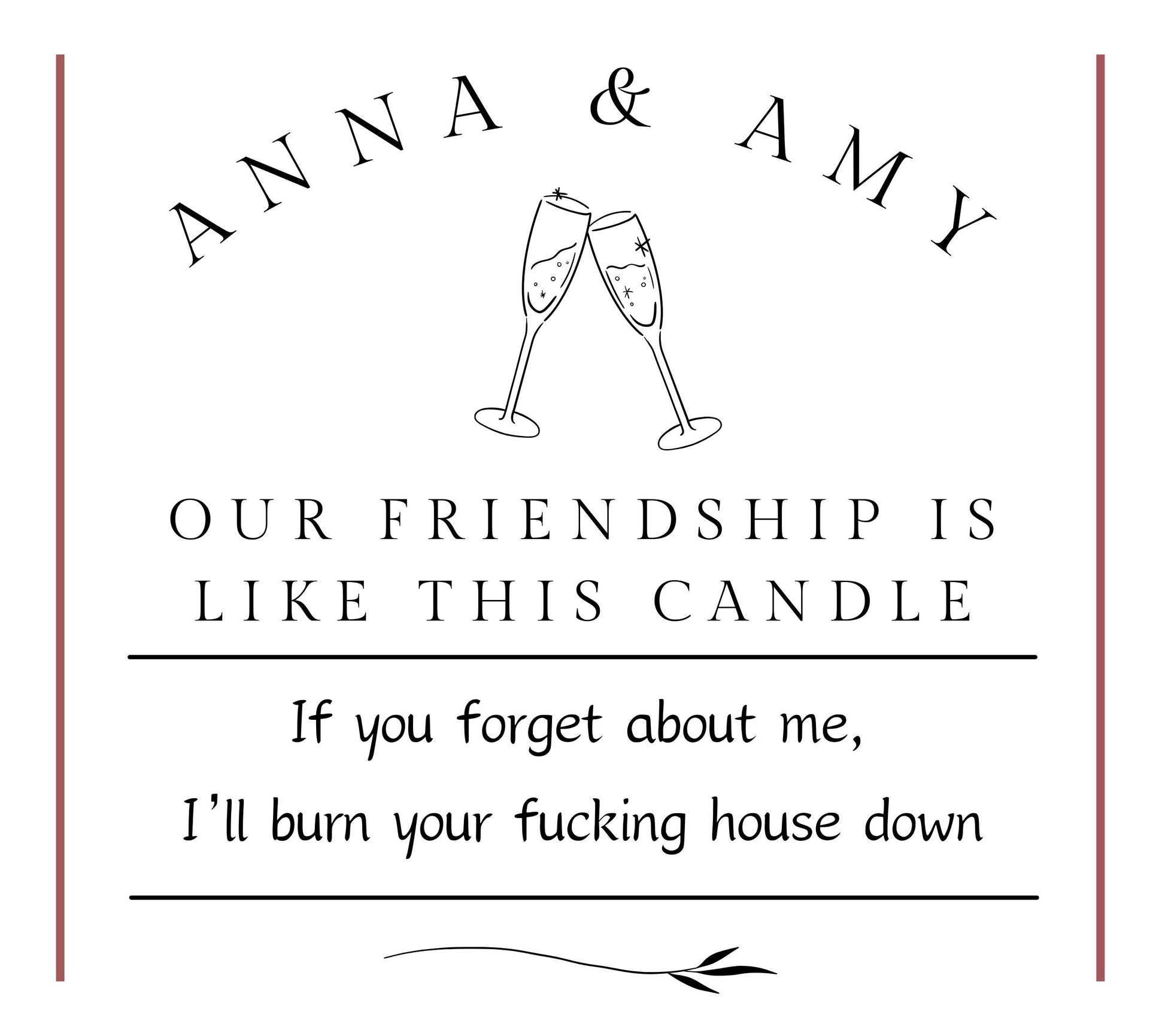 Funny Best Friend Gift, Funny Friendship Candles, Gifts for Her, Xmas Present, Funny Bestie Birthday Candle, Christmas Gift for Best Friend
