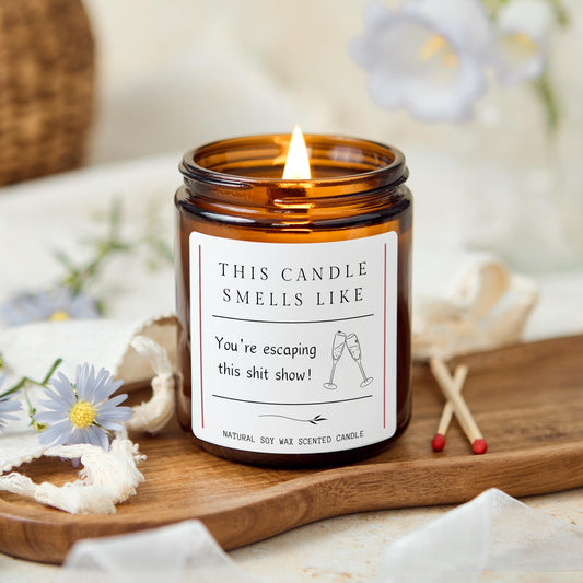 Escaping This Shit Show Candle, Funny New Job Gift, Leaving Work Celebration Present, Fresh Start Office Humour Gift